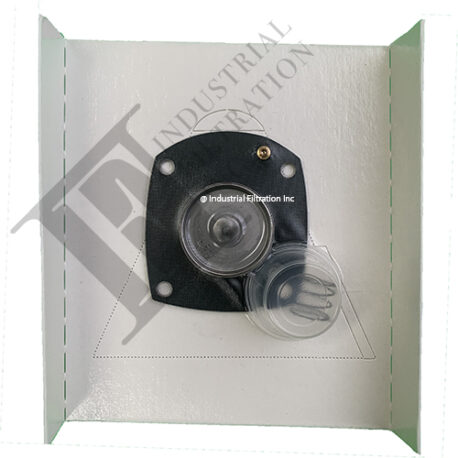 diaphragm